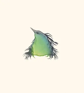 Cape Dorset 2020 Print, Fledgling, Pitaloosie Saila