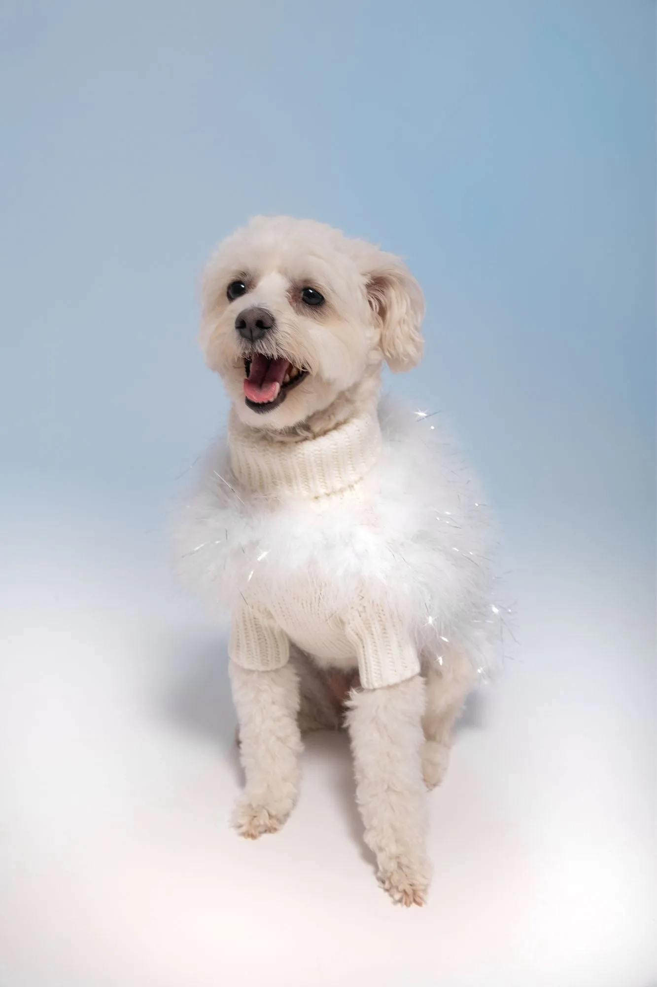 Christian Cowan Holiday Glitz Jumper
