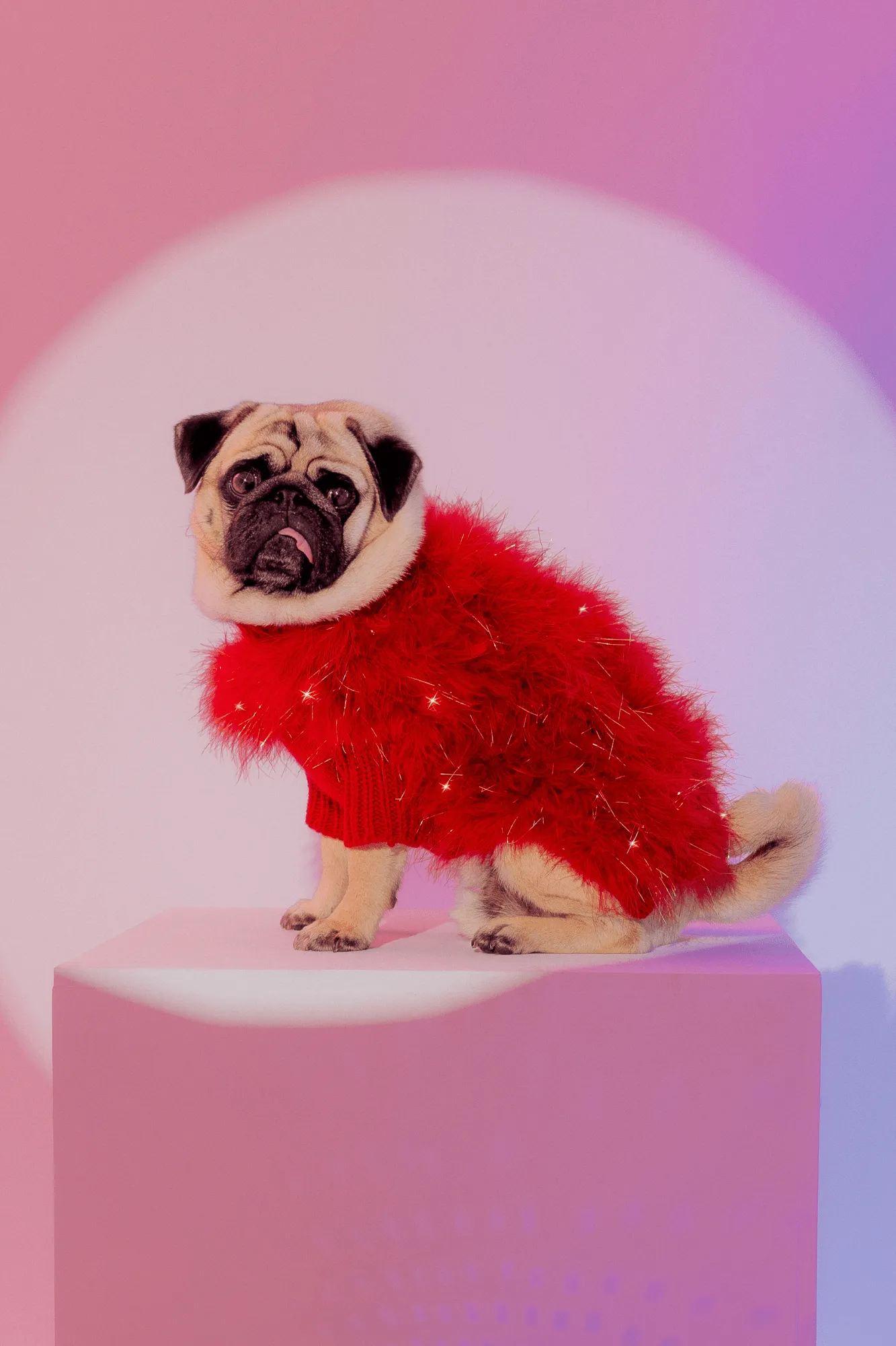 Christian Cowan Holiday Glitz Jumper