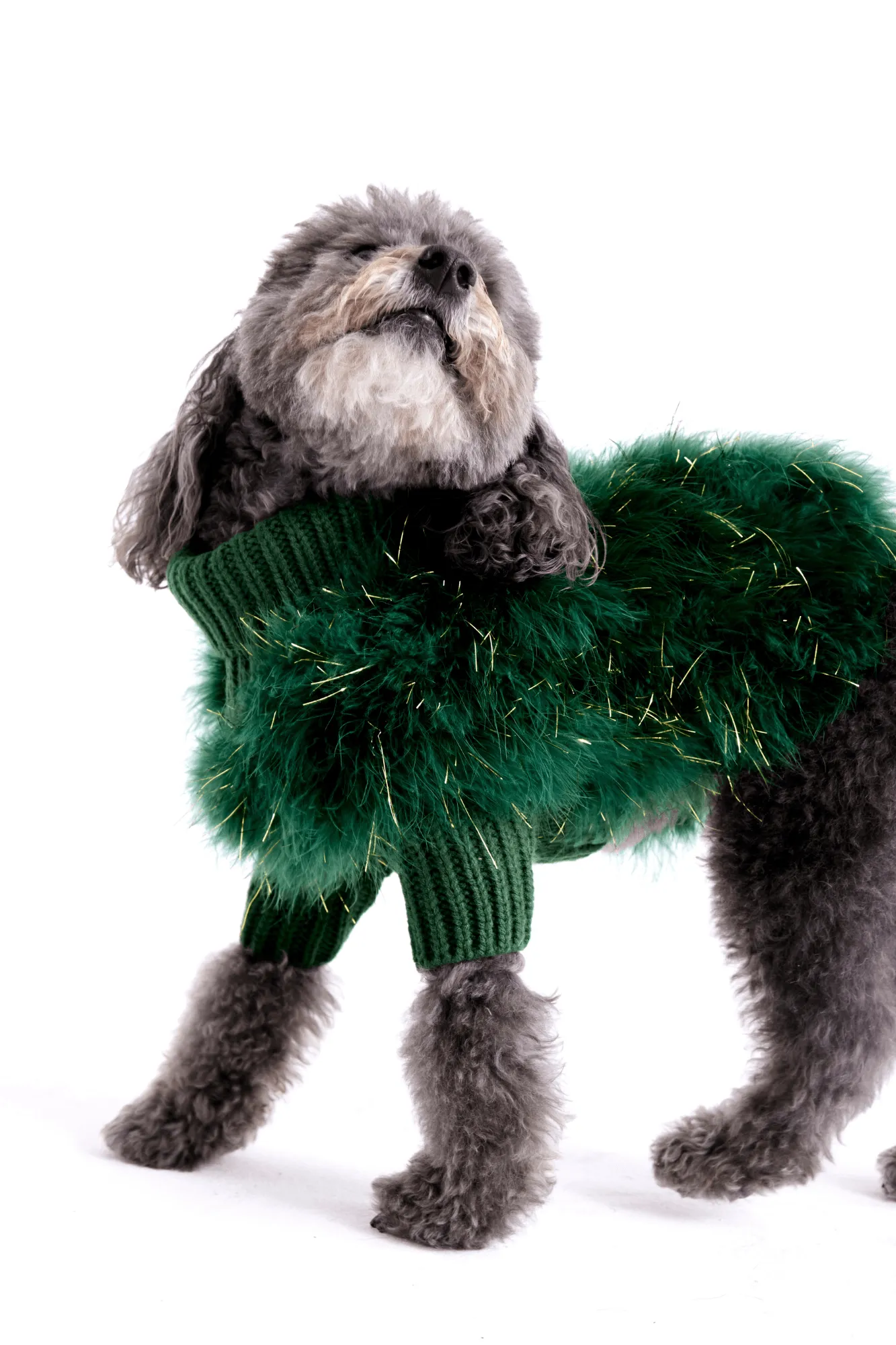 Christian Cowan Holiday Glitz Jumper