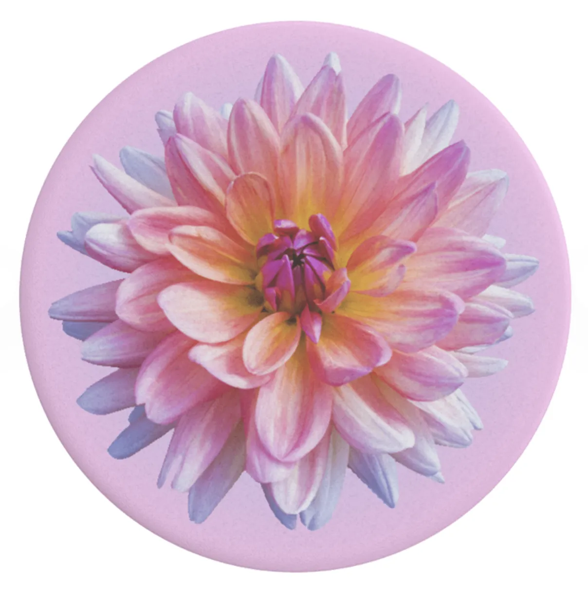 Dahlia Icon Popsocket