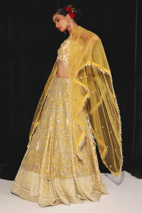 Gold Yellow Tulle Cape With Mirror Spread