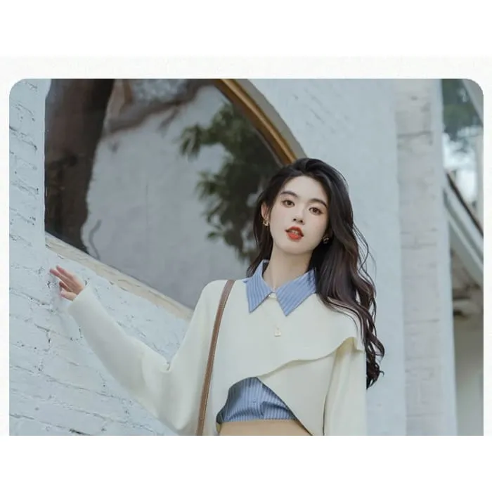 Long-Sleeve Plain Crop Top / Striped Shirt / High Waist Maxi A-Line Pleated Skirt / Set