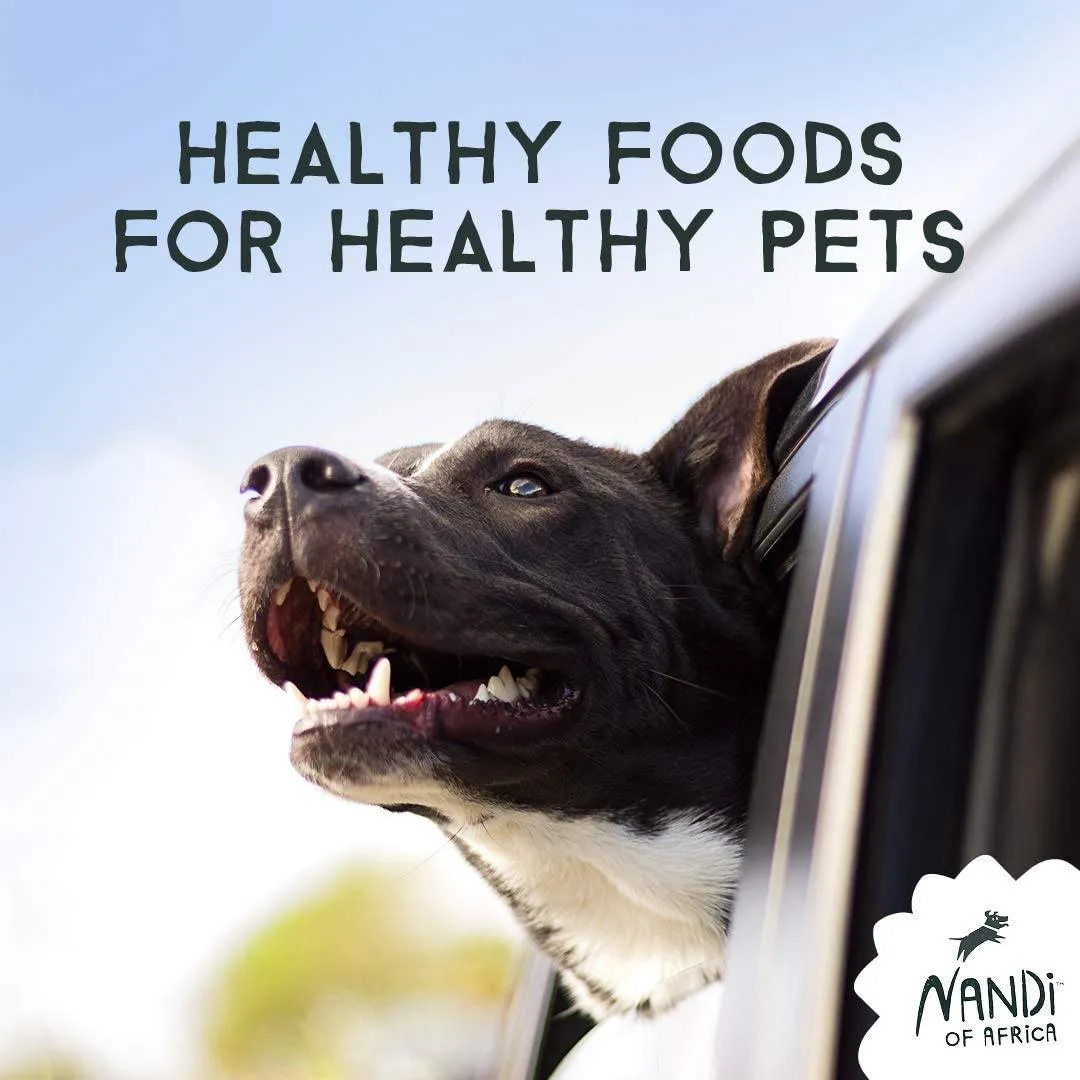 Nandi Cape Fish Jerky Strips Dog Jerky Treats - 5.3 oz
