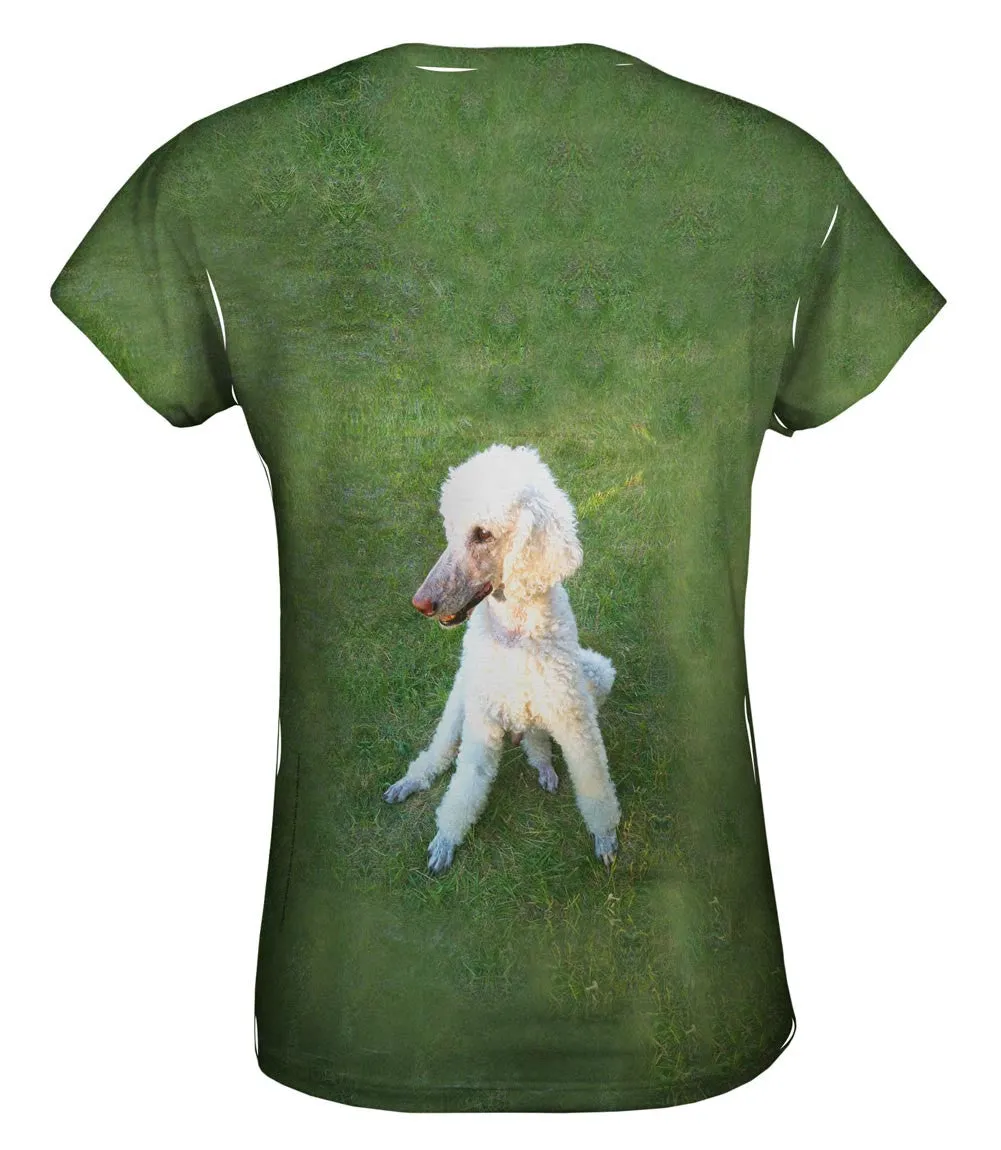 Poodle Tripod