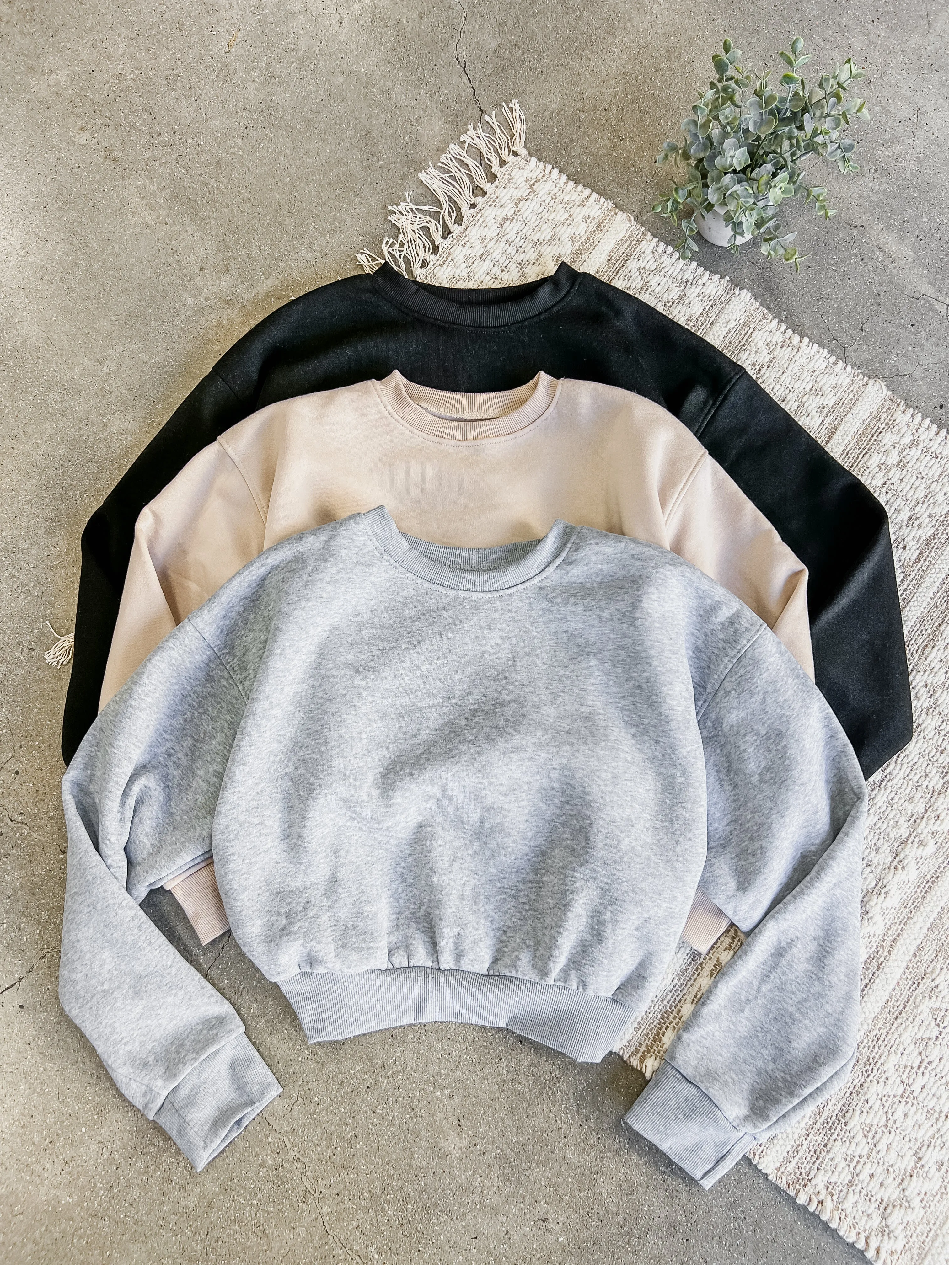 RESTOCK! Alo Crew Neck Sweatshirt